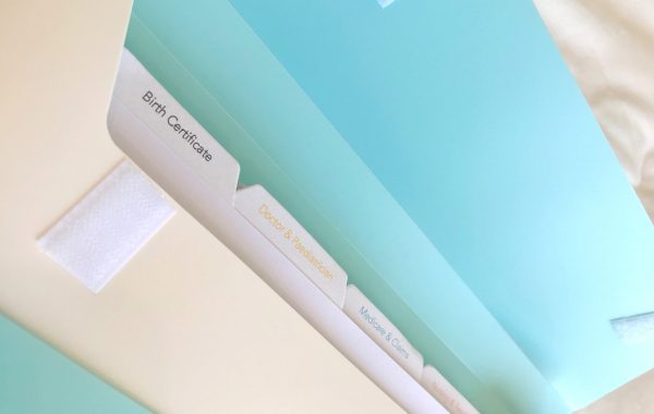 Baby file organiser open with tabs